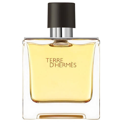 Hermes Terre D'Hermes Pure 75 ML Men's Perfume - 1