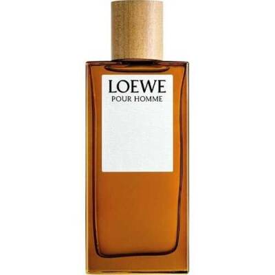 Loewe Solo Edt100 ML Men's Perfume - 1