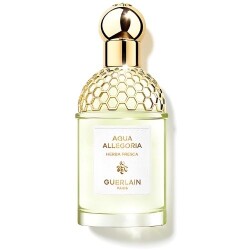 Guerlain Aqua Allegoria Herba Fresca EDT 75ML Women's Perfume - 1