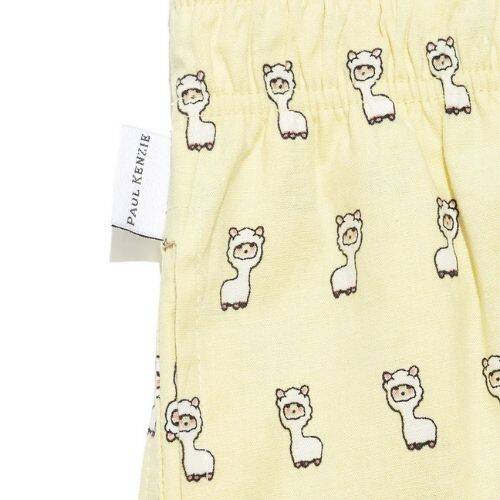 Patterned Men's Home Shorts – Lama - 3