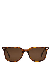 Pedro Brown Acetate Unisex Sunglasses Sunglasses - Vip Accessory