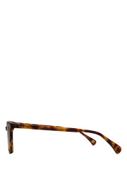 Pedro Brown Acetate Unisex Sunglasses Sunglasses - 3